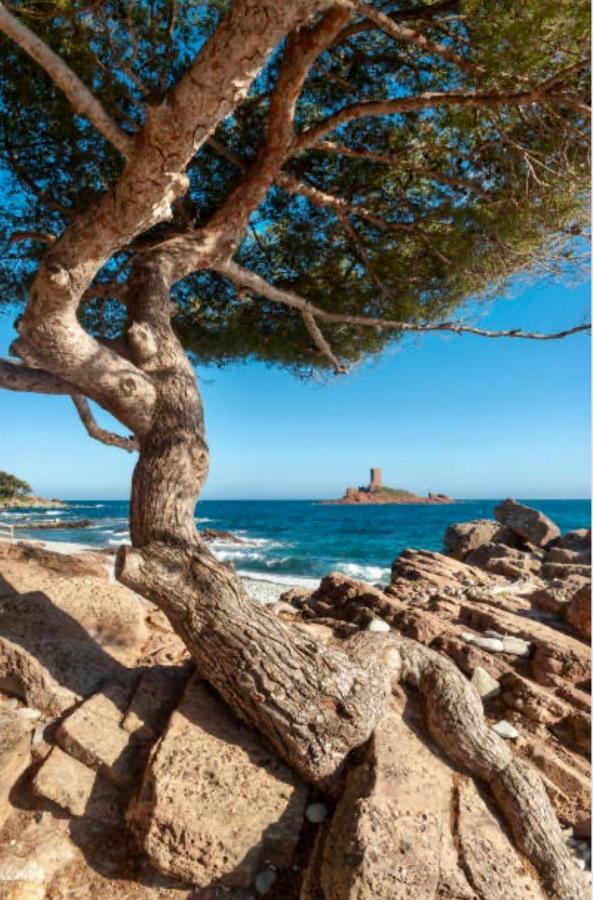 Le Petit Semaphore Saint-Raphaël Buitenkant foto